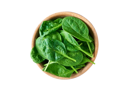 Vegan specialities white label manufacture