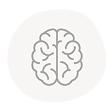 Brain