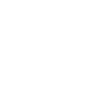 Supplements are delivered Icon
